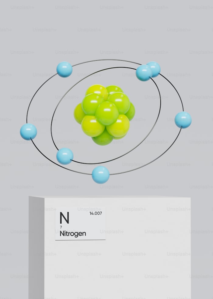 accidental nitrogen asphyxiation